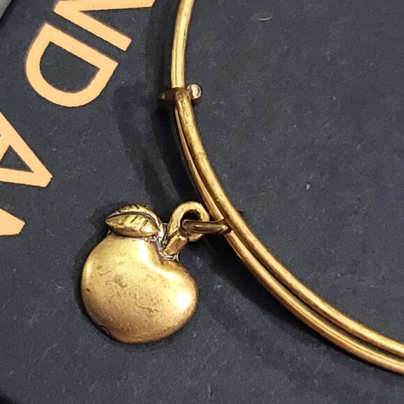 Alex and Ani Apple of Abundance Charm Bracelet - Picture 4 of 11